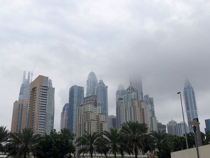 reader picture fog in Dubai