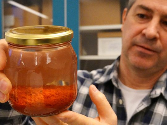 Researcher Brendan Foley holds up a jar containing saffron 