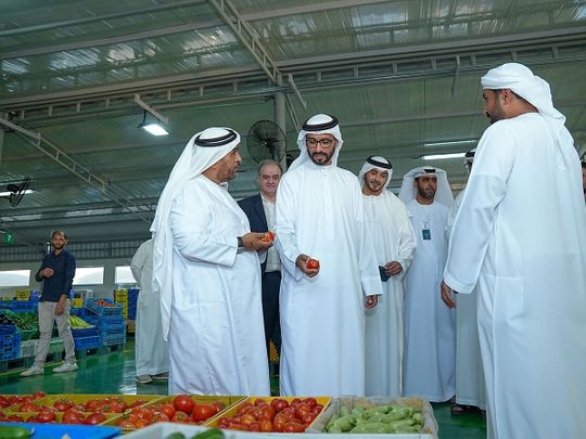 new-farmers'-market-at-mina-zayed,-Abu-Dhabi,-supplied-pic-1678093781763