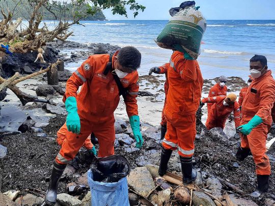 Coast guard personnel and volunteers collecting debris covered with oil
