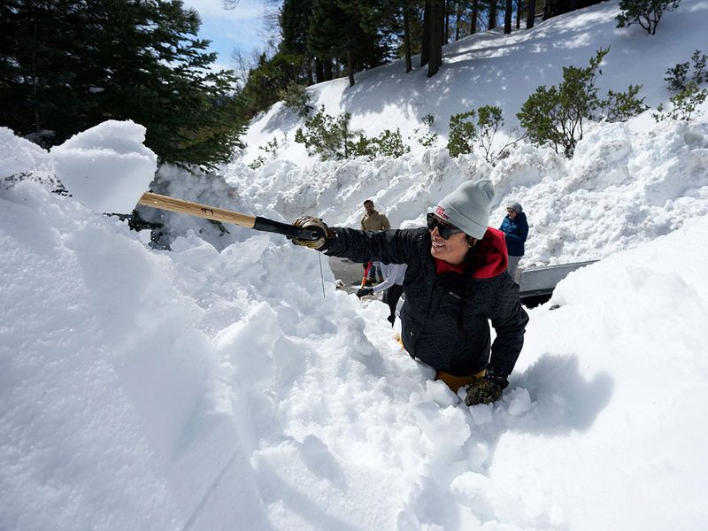 California_Snow_The_Stranded_78409--a3792-(Read-Only)