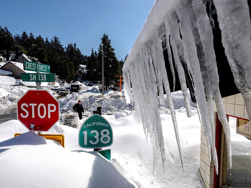 California_Snow_The_Stranded_91001--74b19-(Read-Only)