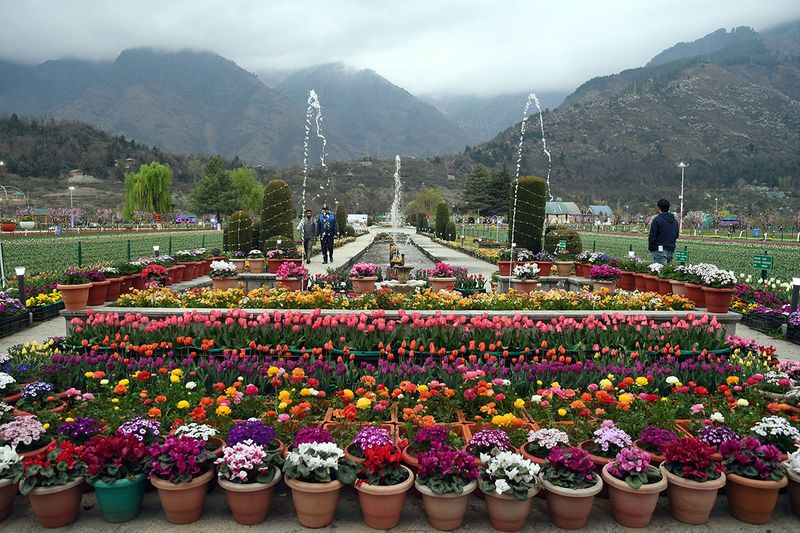  People visit the Siraj Bagh, Asia's second largest tulip garden, as it opens for public, in Srinagar on Sunday. 