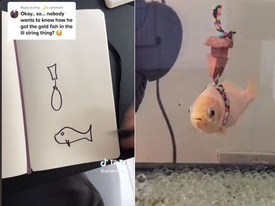Viral video: TikToker makes life vest for a goldfish