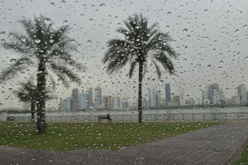 Light rain in Sharjah on Tuesday.