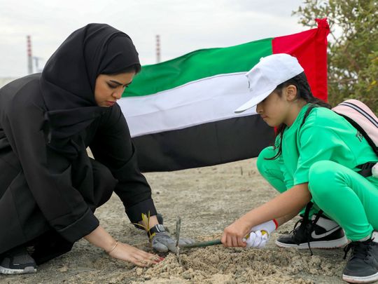 dewa-staff-and-their-families-plant-mangroves-in-jebel-ali-for-world-water-day-1679472585503