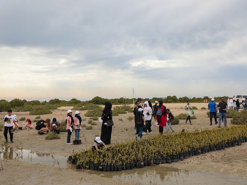 dewa-staff-and-their-families-plant-mangroves-in-jebel-ali-for-world-water-day-2-1679472587586
