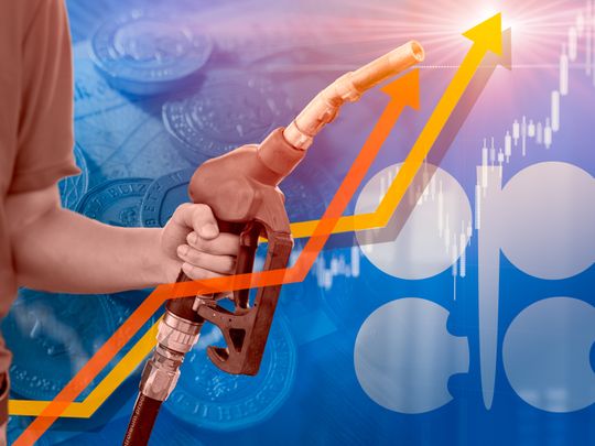 Oil price fuel OPEC