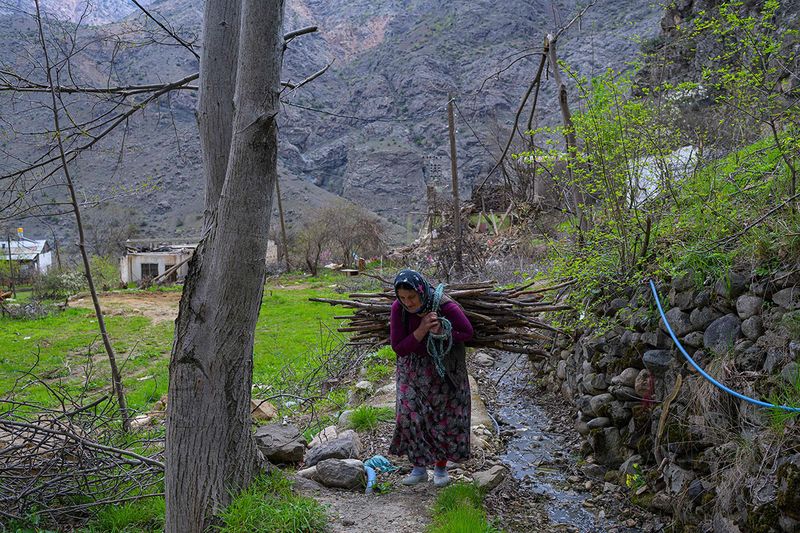 woman carries a bundle of wood in the village of Tekkale, that will soon be submerged by an artificial lake caused by a dam retaining the flow of the Coruh river (also referred to as Chorokhi), in Artvin province, northeastern Turkey, on April 5, 2022. - The Yusufeli Dam and its Hydroelectric Power Plant Project in the Eastern Black Sea Region has started to hold water, with the electricity production expected to start in May 2023. With a total water storage volume of approximately 2.2 billion cubic meters, the double curvature concrete arch dam is Turkey’s highest with a height of 275 meters. 