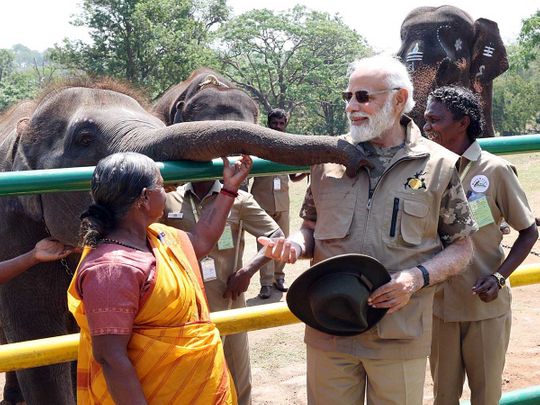 Modi elephant Theppakadu elephant camp as he visited Mudumalai Tiger Reserve