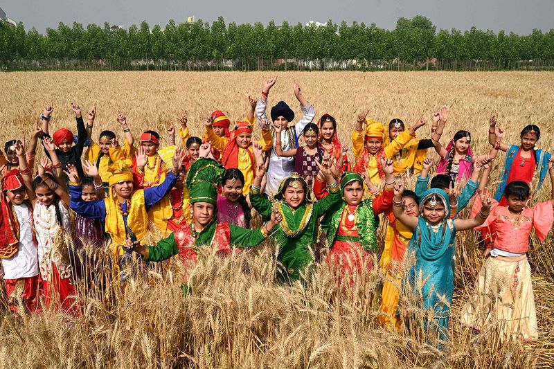 School children pose while performing Punjabi folk dance 'Bhangra' ahead of the Baisakhi festival in a wheat field on the outskirts of Amritsar on April 12, 2023. 