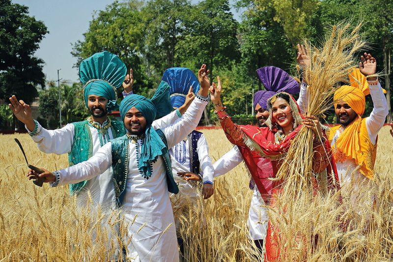 Students from Khalsa College wearing traditional attire dance as they take part in the Vaisakhi festival celebrations, at a wheat farm, in Amritsar on Thursday. 