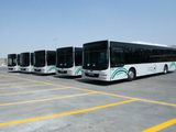 Mecca buses saudi