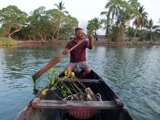 Climate_India_Mangrove_Man_73519--b3980-(Read-Only)