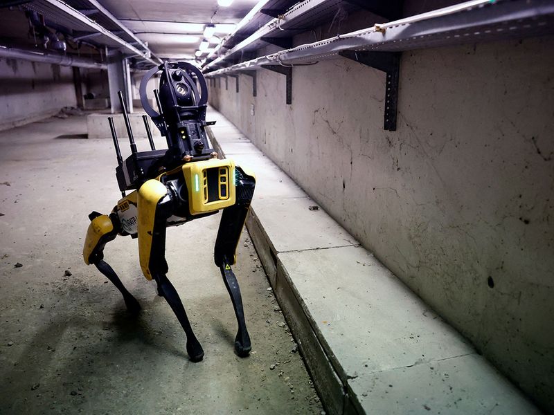 2023-04-20T080220Z_1092181378_RC20H0A35C42_RTRMADP_3_FRANCE-ROBOT-DOG-(Read-Only)