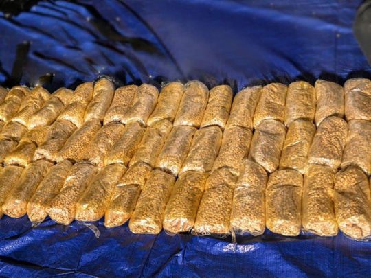 Sharjah-Police-arrested-24-suspect-and-seized-120-kg-of-hashish-and-3-million-narcotic-pills-new-1682510916040
