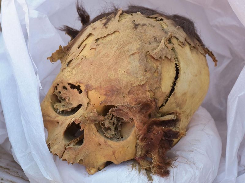 The skull of a pre-Inca individual unearthed at the Cajamarquilla Archaeological Complex