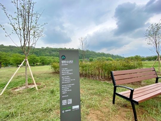 'BTS Forest' created in Seoul's Nanji Park