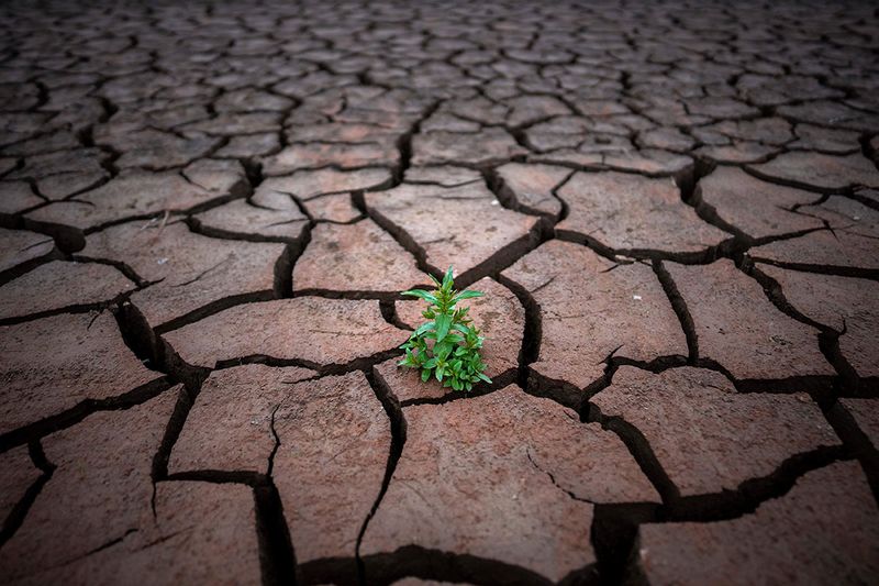  A plant is photographed on a cracked earth after the water level has dropped in the Sau reservoir, about 100 km (62 miles) north of Barcelona, Spain, on April 18, 2023. Drought-stricken Spain says last month was the hottest and driest April since records began in 1961. The State Meteorological Agency said Monday May 8, 2023 the average daily temperature was 14.9 degrees Celsius (58.8 Fahrenheit). That is 3 degrees Celsius above the average. 