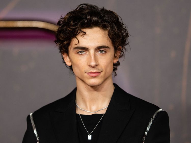 A Brief History of Timothée Chalamets Beautiful Hair