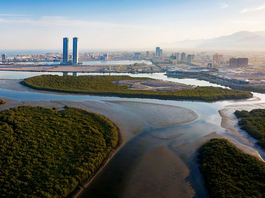 Stock-Ras-Al-Khaimah-Skyline