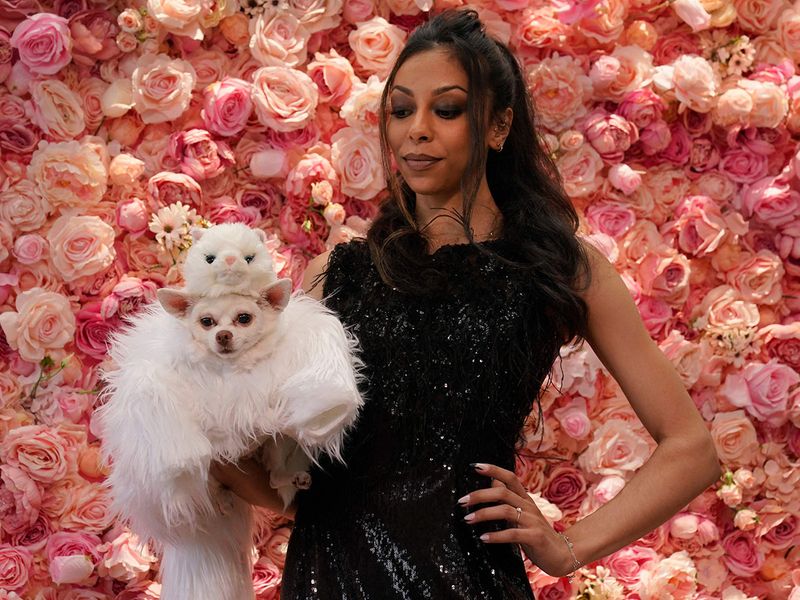 Pet Gala Canines in couture recreate Met Gala looks Entertainment