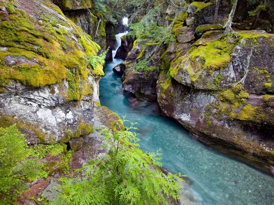 Avalanche Creek in Montana