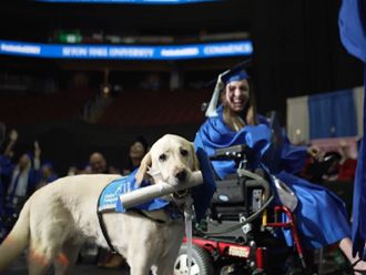 A service dog is now a proud university graduate