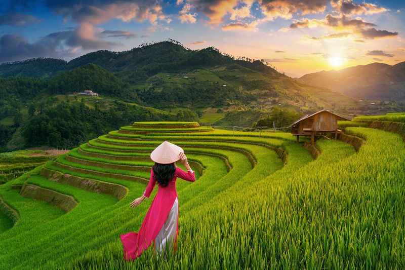 在越南 Mu cang 柴的水稻梯田穿着越南传统文化的亚洲女性。