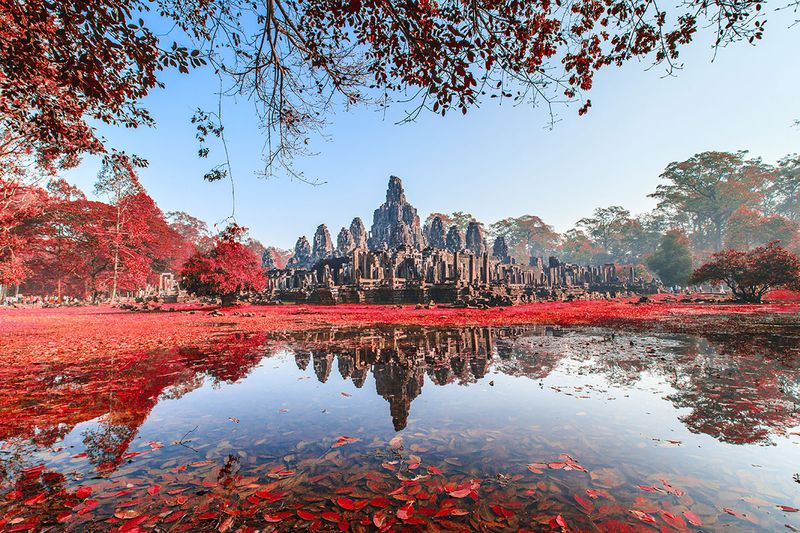 Bayon Castle, Cambodia. With red leaf tree