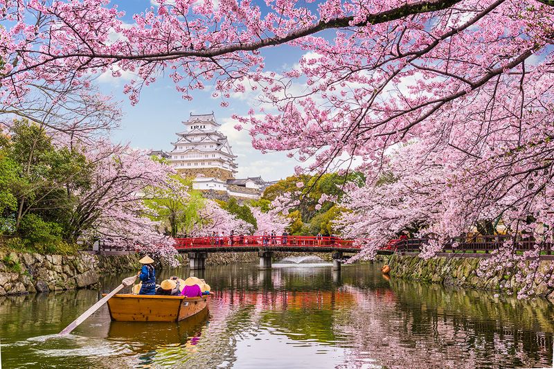 Himeji Castle in Japan in spring season 