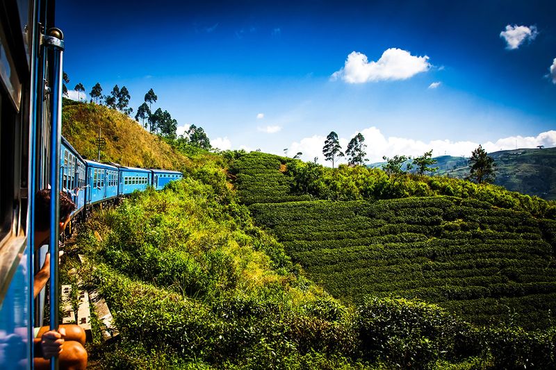 Train from Nuwara Eliya to Kandy among tea plantations in the highlands of Sri Lanka.