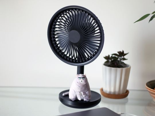 electric fan 