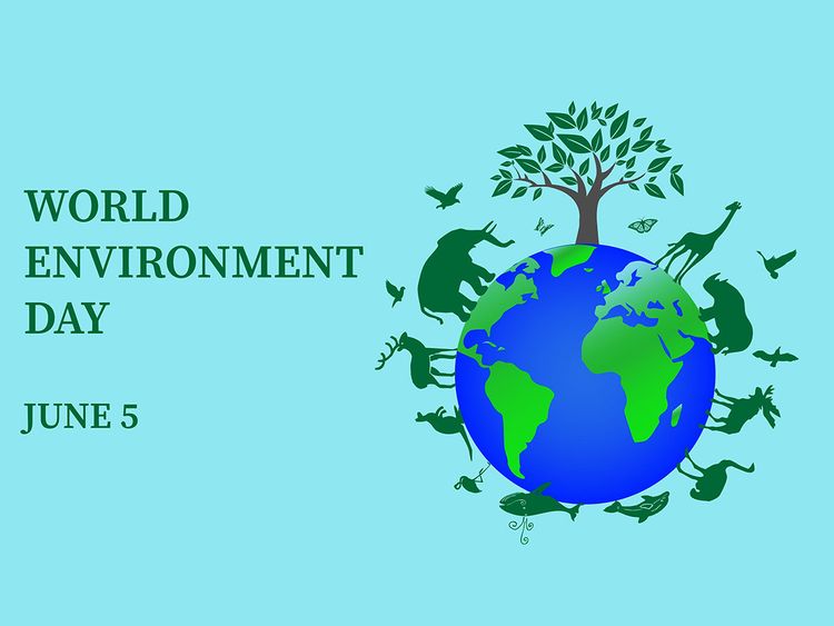 DEFORESTATION AROUND THE WORLD - India Environment Portal