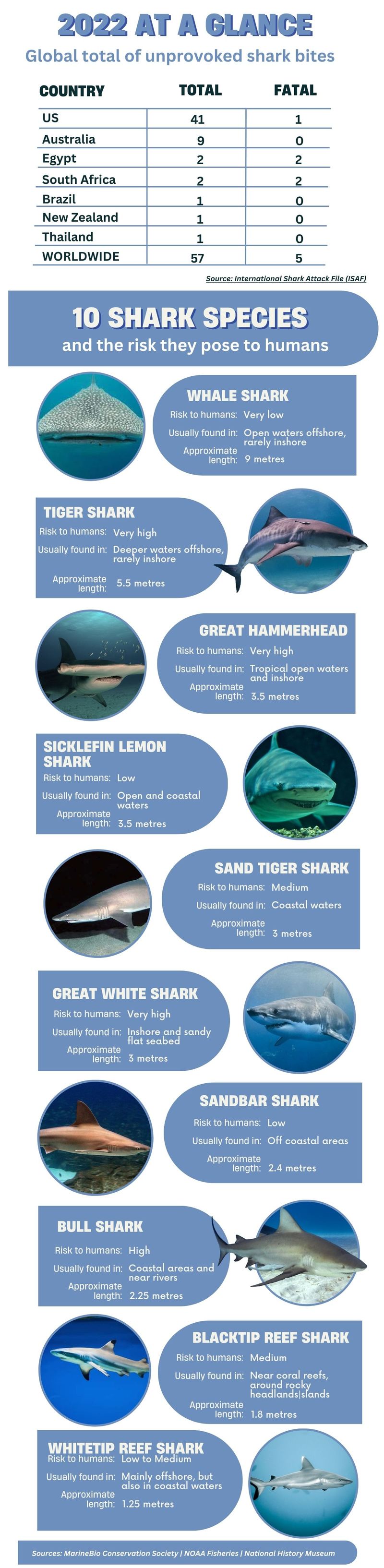 Shark attacks cases shark species