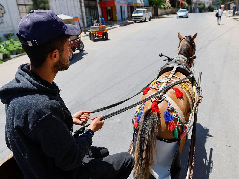 A Palestinian rides a cart drawn by a horse wearing a diaper, to keep the Gaza streets clean, in Deir Al Balah, central Gaza Strip. 
