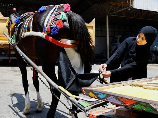 A Palestinian woman puts a diaper on a horse, in an effort to keep the streets clean, in Deir Al Balah, central Gaza Strip. 