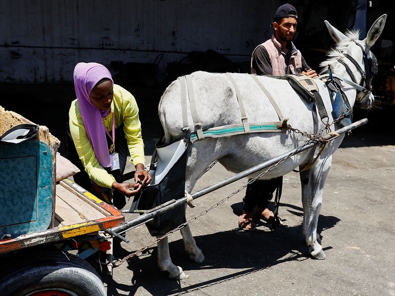 A woman puts a diaper on a horse, in an effort to keep the streets clean, in Deir Al Balah, central Gaza Strip. 