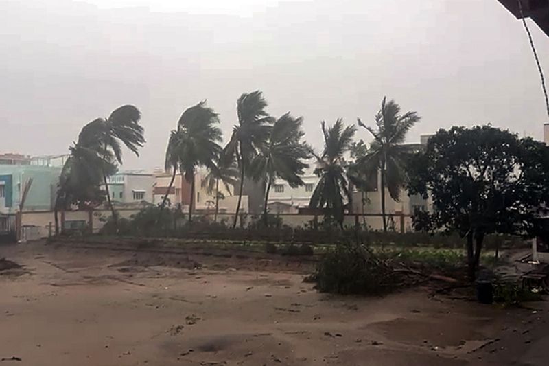 A cyclist rides past an uprooted tree following heavy winds and incessant in Mandvi.