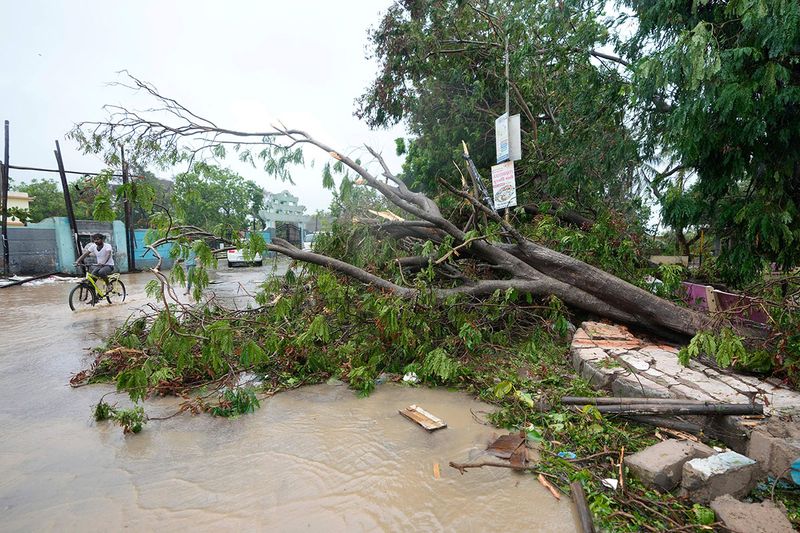 A cyclist rides past an uprooted tree following heavy winds and incessant rains after landfall of cyclone Biparjoy at Mandvi in Kutch district of Western Indian state of Gujarat, Friday, June 16, 2023. Cyclone Biparjoy knocked out power and threw shipping containers into the sea in western India on Friday before aiming its lashing winds and rain at part of Pakistan that suffered devastating floods last year. 