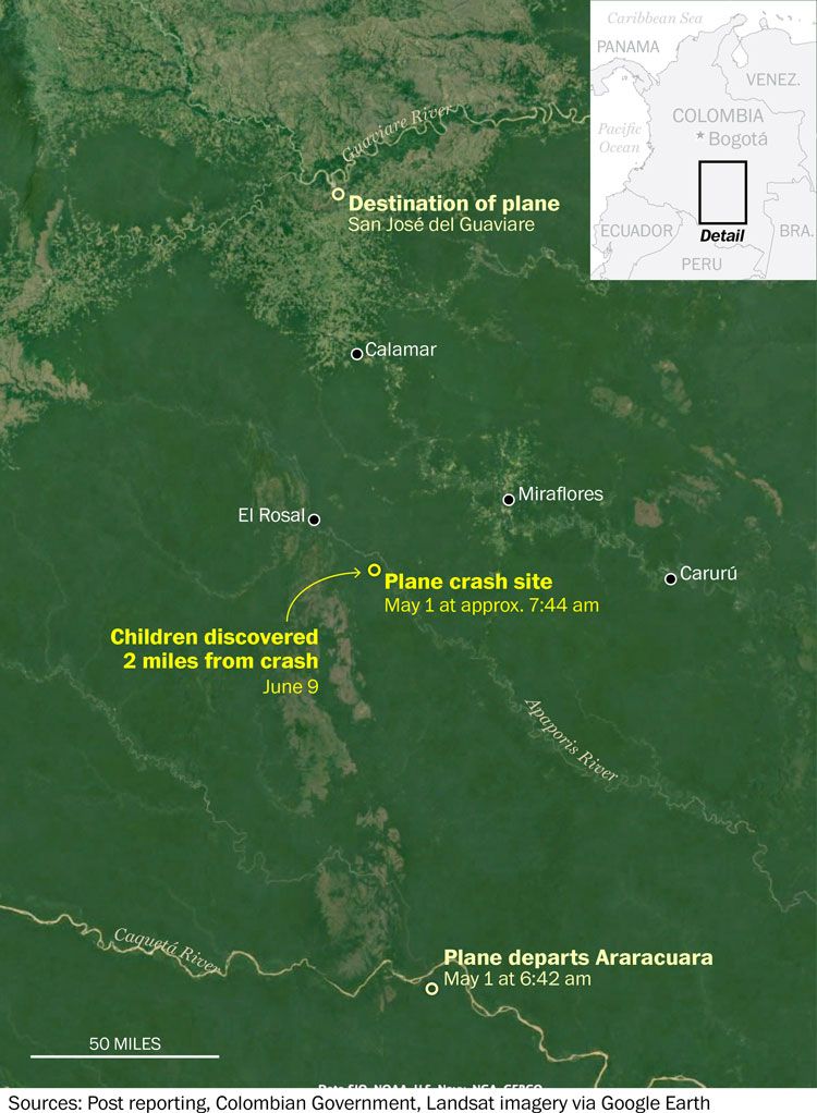 How the four children survived Amazon plane crash, 40 days alone in jungle