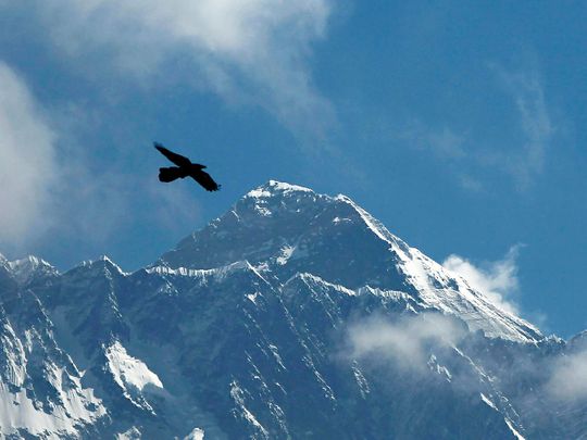 A bird flies with Mount Everest seen in the background from Namche Bajar, Solukhumbu district, Nepal. 
