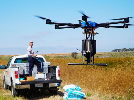 Drone pilot John Savage flies the hexacopter drone loaded with anti-mosquito bacterial spore pellets at the San Joaquin Marsh Reserve at University of California in Irvine.   