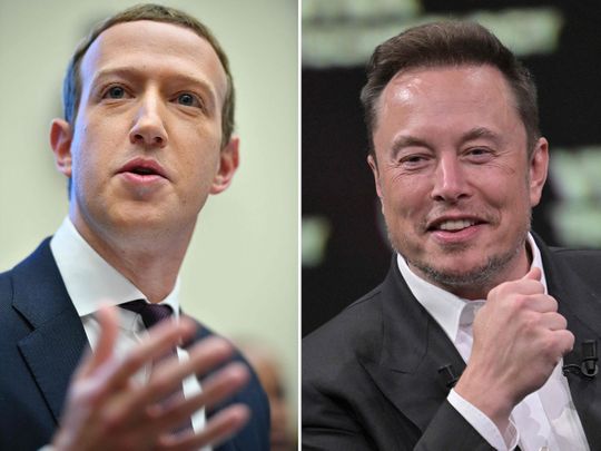 Stock - Mark Zuckerberg and Elon Musk