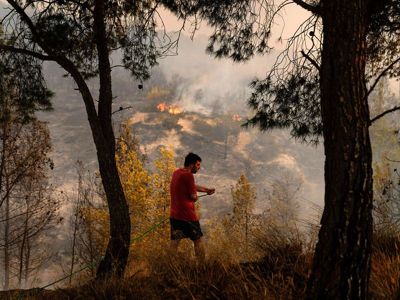 Greece_Wildfires_87582--2ffa7-(Read-Only)
