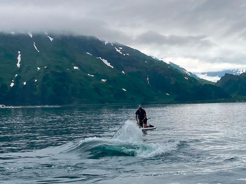 In this photo provided by Brian Williams, a whale approaches his father, Kevin Williams, while he was paddleboarding in Prince William Sound near Whittier, Alaska. 