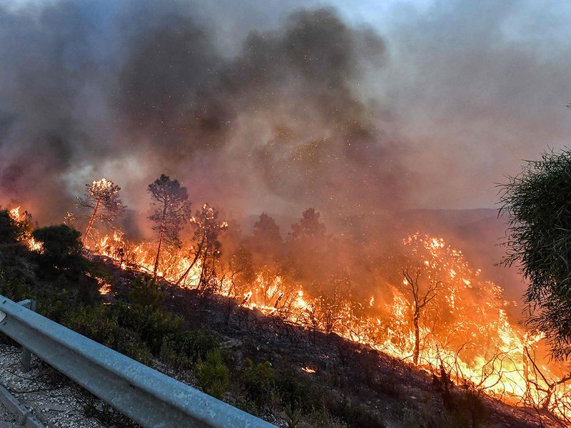 Photos: Algeria Battles Raging Wildfires That Have Killed 34 | News ...