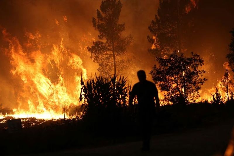 PORTUGAL: Portugal has requested help in the management of wildfires from the European Union civil protection mechanism, Finland's Interior ministry said on Tuesday, adding the country would send 48 rescue workers to help Portugal. Mainland Portugal is facing widespread drought, with some 90% of the country affected.