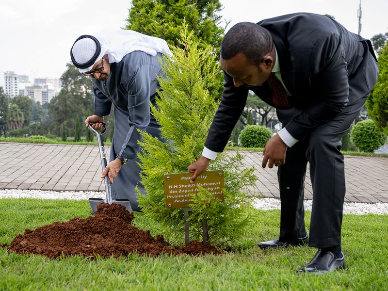 UAE President Sheikh Mohamed bin Zayed Al Nahyan plants a tree at the office compound of Ethiopian Prime Minister Abiy Ahmed (right). 