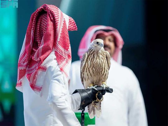 FAlcon Saudi